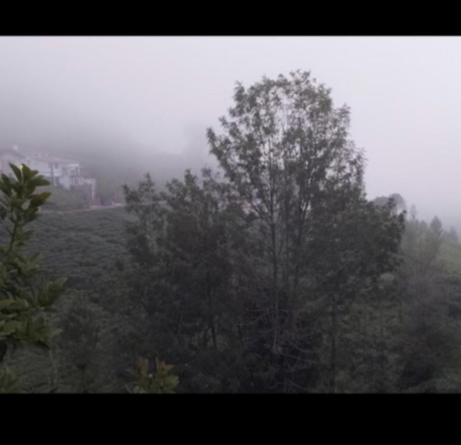 The Valley Villa Kotagiri Bagian luar foto